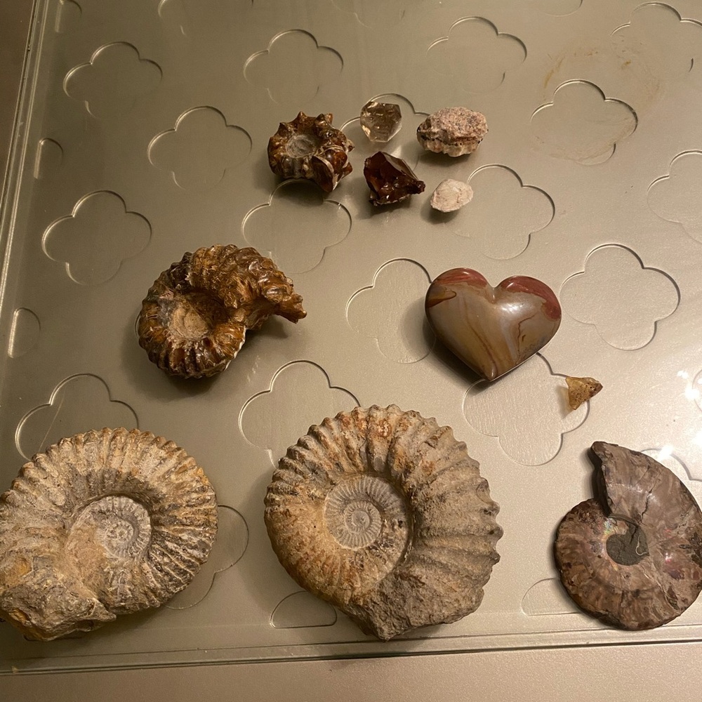 Beautiful Gems, Crystals, And Fossils